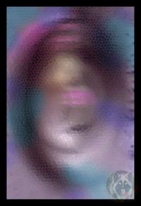 Τρελός λύκος / 2020 / DA2020C03 Τρελός λύκος / 2020 / DA2020C03