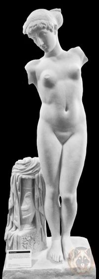 Plaster cast of the so-called Esquiline Venus. Abguss-Sammlung Antiker Plastik Berlin. Photo (c) Dagmar Guenther, 2020.
